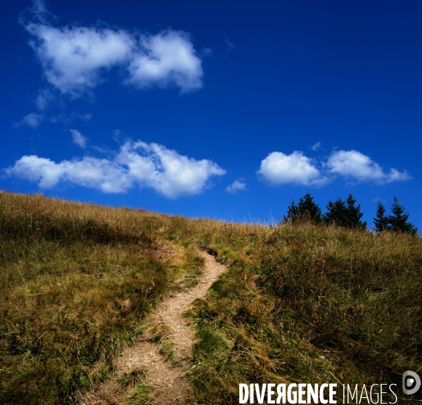 Chemin de randonnée dans les Alpes