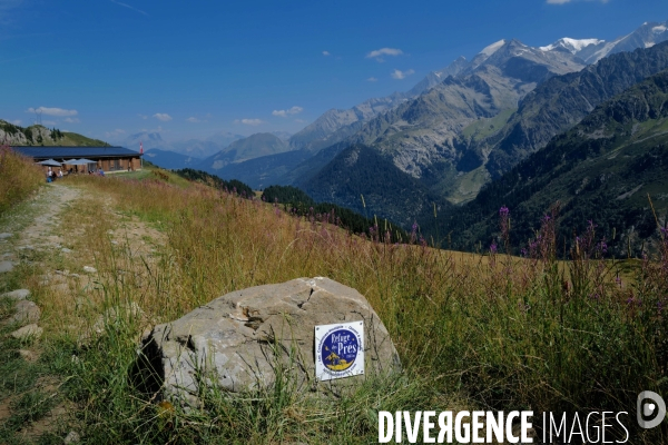 Chemin de randonnée dans les Alpes