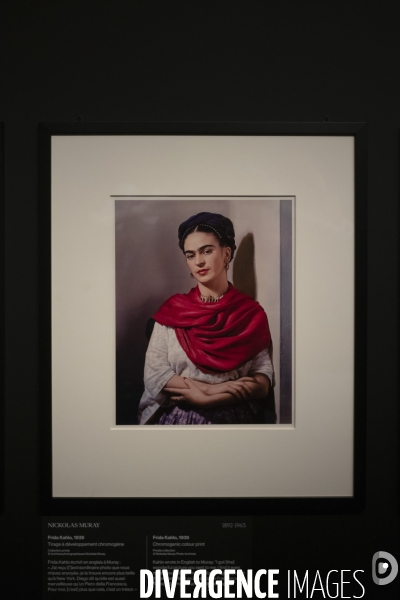 Frida Kahlo, au-delà des apparences