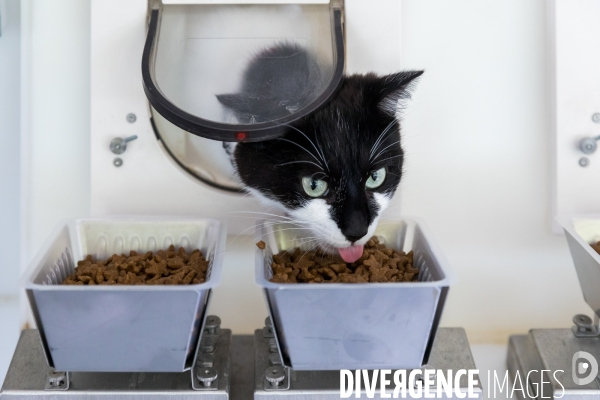 Site industriel de petfood