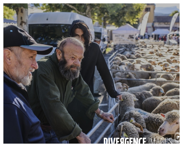 Le long de la transbassealpine Digne Nice ( La foire agricole )