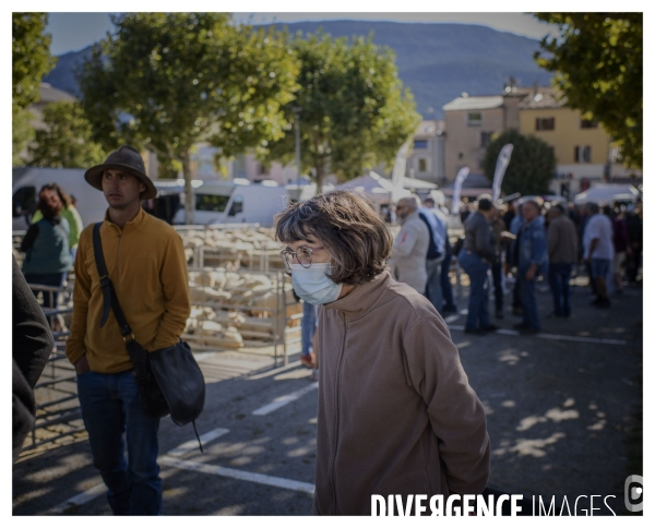 Le long de la transbassealpine Digne Nice ( La foire agricole )