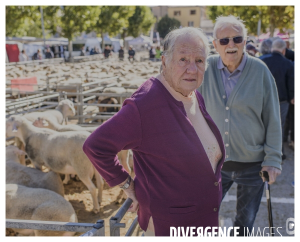 Le long de la transbassealpine Digne Nice ( La foire agricole )