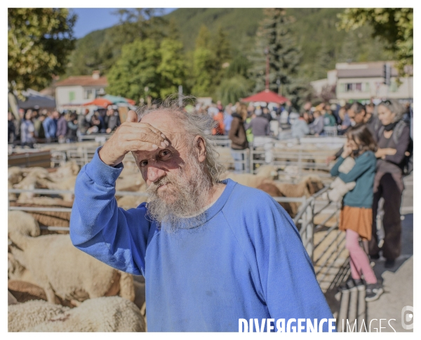 Le long de la transbassealpine Digne Nice ( La foire agricole )