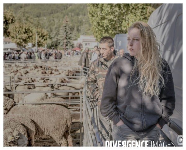 Le long de la transbassealpine Digne Nice ( La foire agricole )