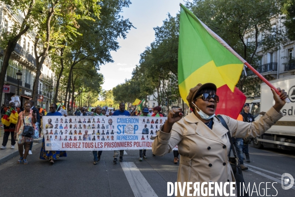 Manifestation pour la paix, la justice et la liberté au Cameroun.