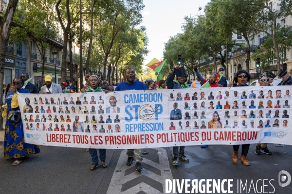 Manifestation pour la paix, la justice et la liberté au Cameroun.