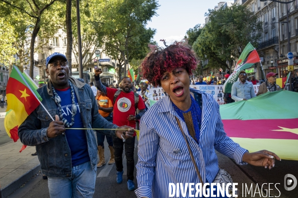 Manifestation pour la paix, la justice et la liberté au Cameroun.