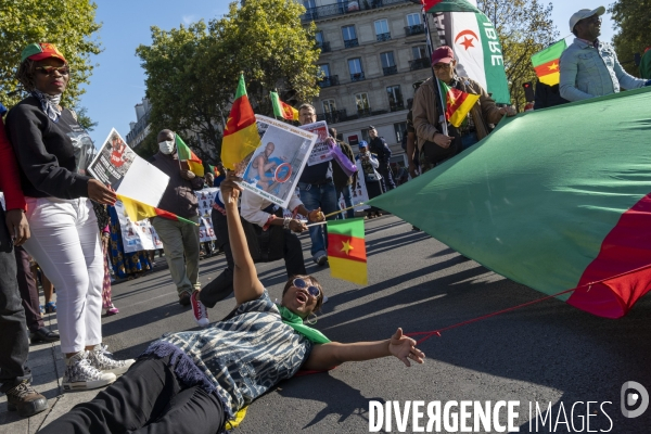 Manifestation pour la paix, la justice et la liberté au Cameroun.