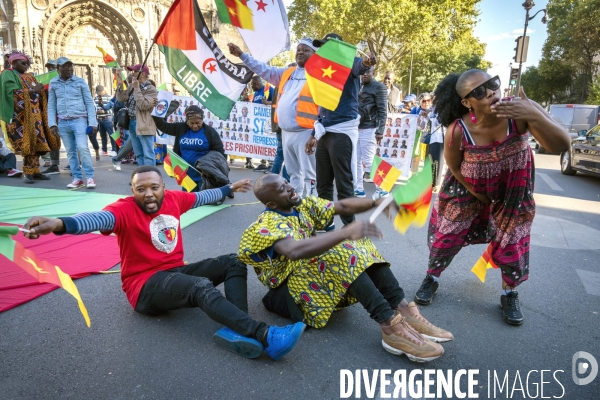 Manifestation pour la paix, la justice et la liberté au Cameroun.