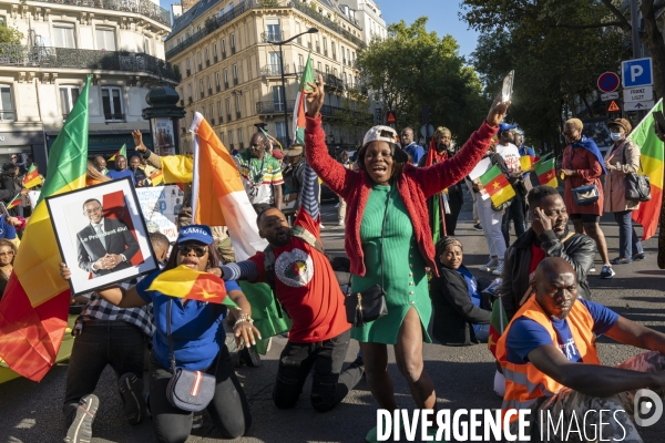 Manifestation pour la paix, la justice et la liberté au Cameroun.