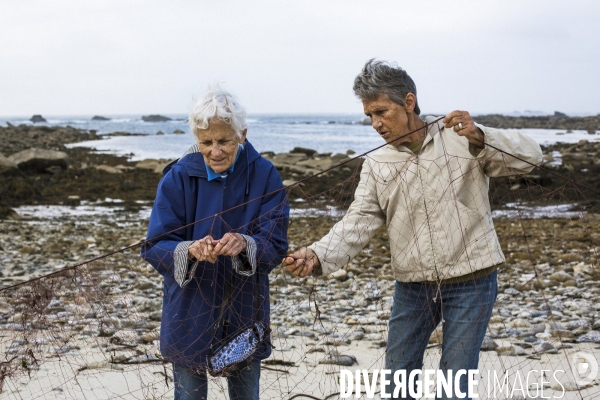 Un été en bretagne