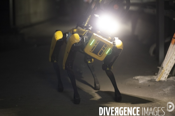 Le chien robot