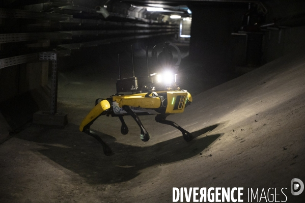 Le chien robot