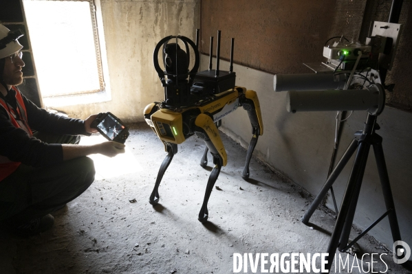 Le chien robot