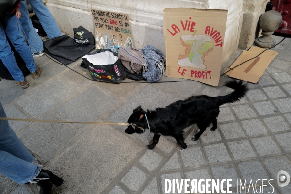 Greve mondiale pour le climat