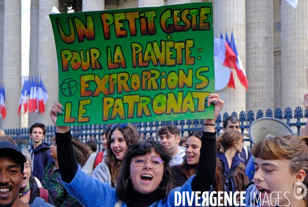 Manifestation pour le climat