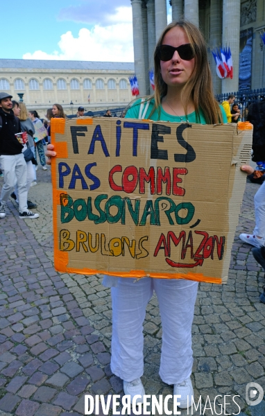 Manifestation pour le climat