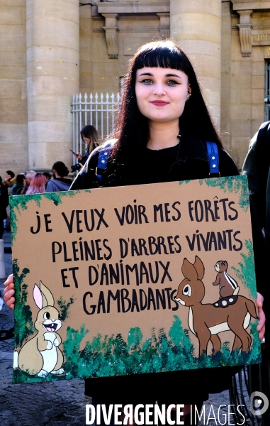 Manifestation pour le climat