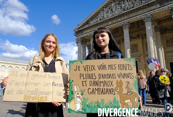 Manifestation pour le climat