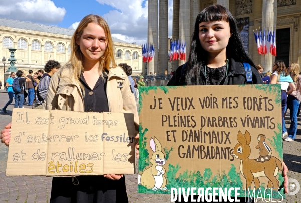 Manifestation pour le climat