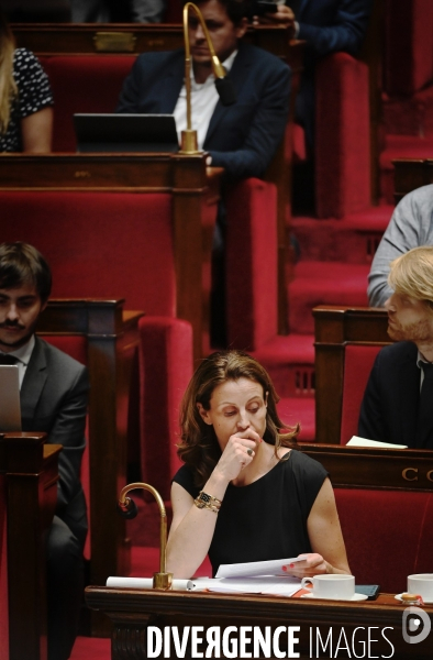 Assemblee nationale / DIscussion du projet de loi relatif aux mesures d urgence pour la protection du pouvoir d achat