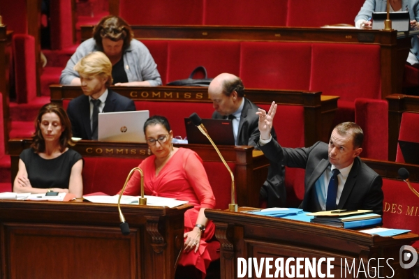 Assemblee nationale / DIscussion du projet de loi relatif aux mesures d urgence pour la protection du pouvoir d achat
