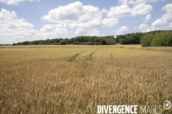 Sur les traces de Charles Péguy et de son pélerinage à Chartres