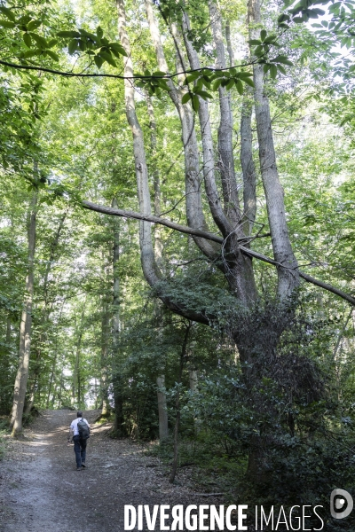 Sur les traces de Charles Péguy et de son pélerinage à Chartres