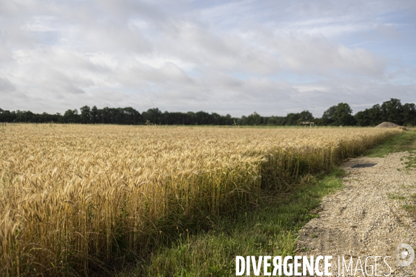 Sur les traces de Charles Péguy et de son pélerinage à Chartres 2