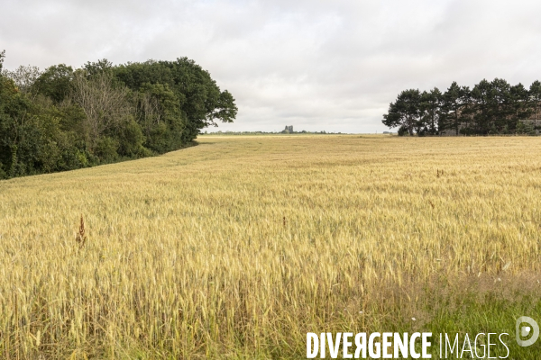 Sur les traces de Charles Péguy et de son pélerinage à Chartres 2
