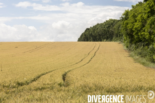 Sur les traces de Charles Péguy et de son pélerinage à Chartres 2