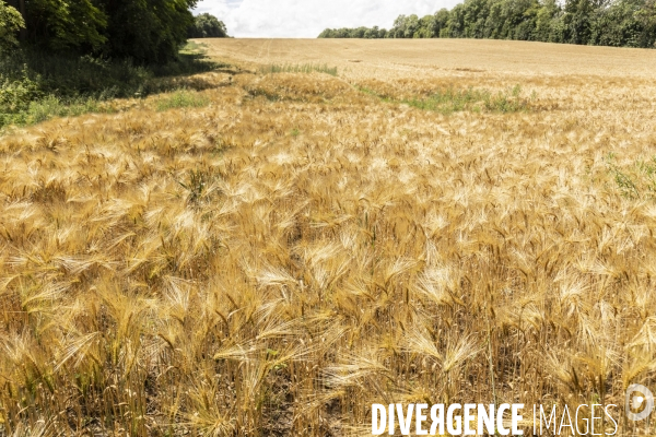 Sur les traces de Charles Péguy et de son pélerinage à Chartres 2