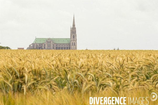 Sur les traces de Charles Péguy et de son pélerinage à Chartres 3