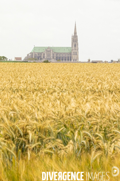 Sur les traces de Charles Péguy et de son pélerinage à Chartres 3