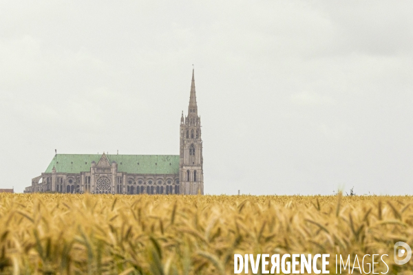 Sur les traces de Charles Péguy et de son pélerinage à Chartres 3