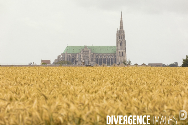 Sur les traces de Charles Péguy et de son pélerinage à Chartres 3