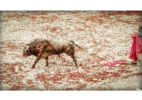 Teatro del Toro (Stop Corrida)