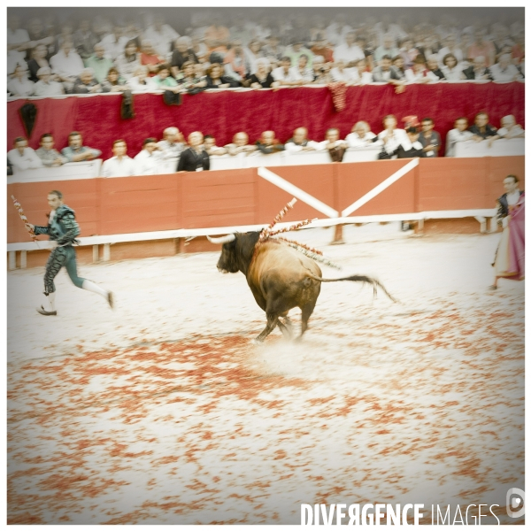 Teatro del Toro (Stop Corrida)