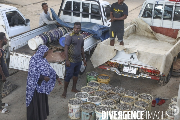 Stone town zanzibar