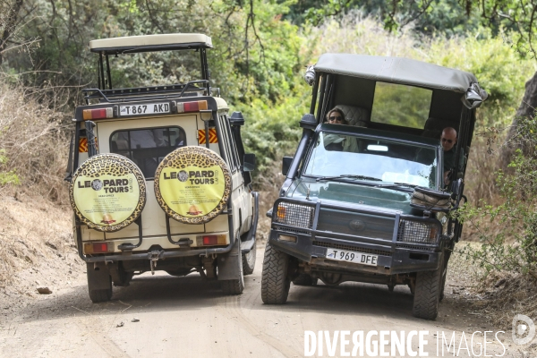 Parc national du tarangire/tanzanie