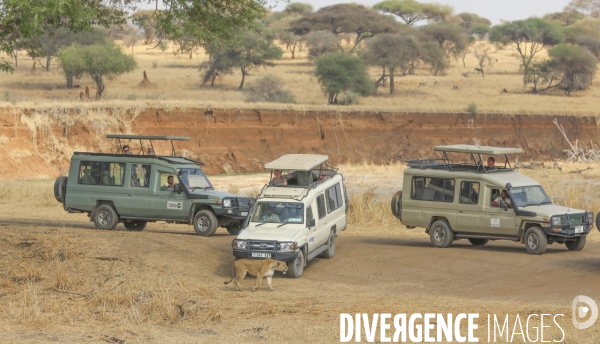 Parc national du tarangire/tanzanie