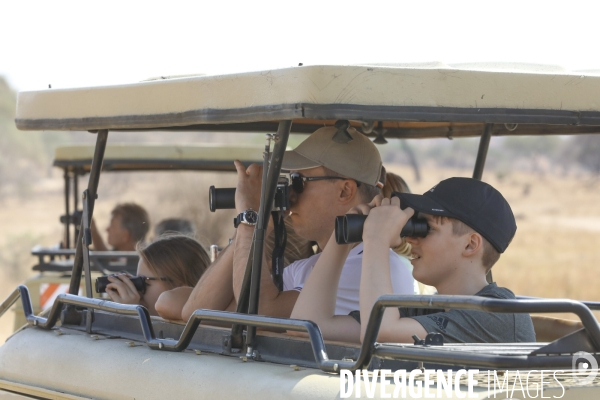 Parc national du tarangire/tanzanie