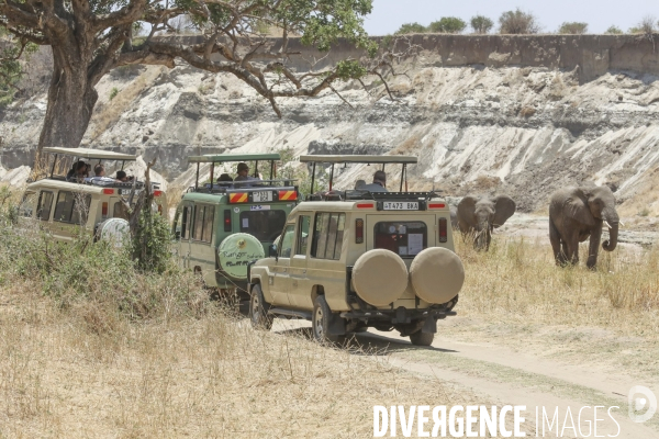 Parc national du tarangire/tanzanie