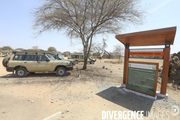 Parc national du tarangire/tanzanie