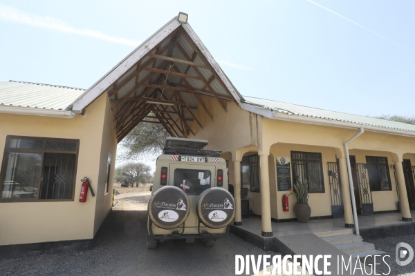 Parc national du tarangire/tanzanie