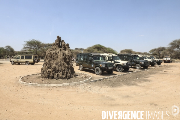 Parc national du tarangire/tanzanie