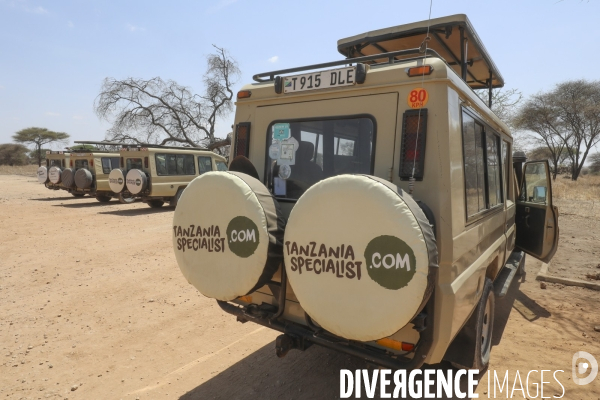 Parc national du tarangire/tanzanie