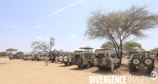 Parc national du tarangire/tanzanie