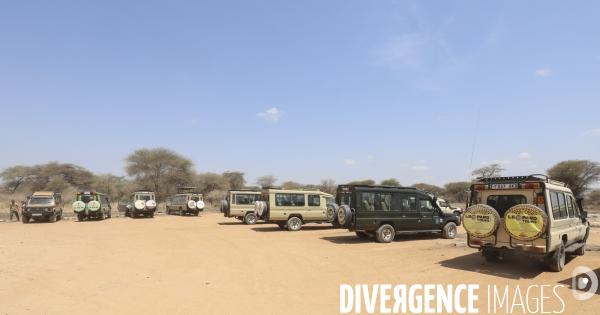 Parc national du tarangire/tanzanie